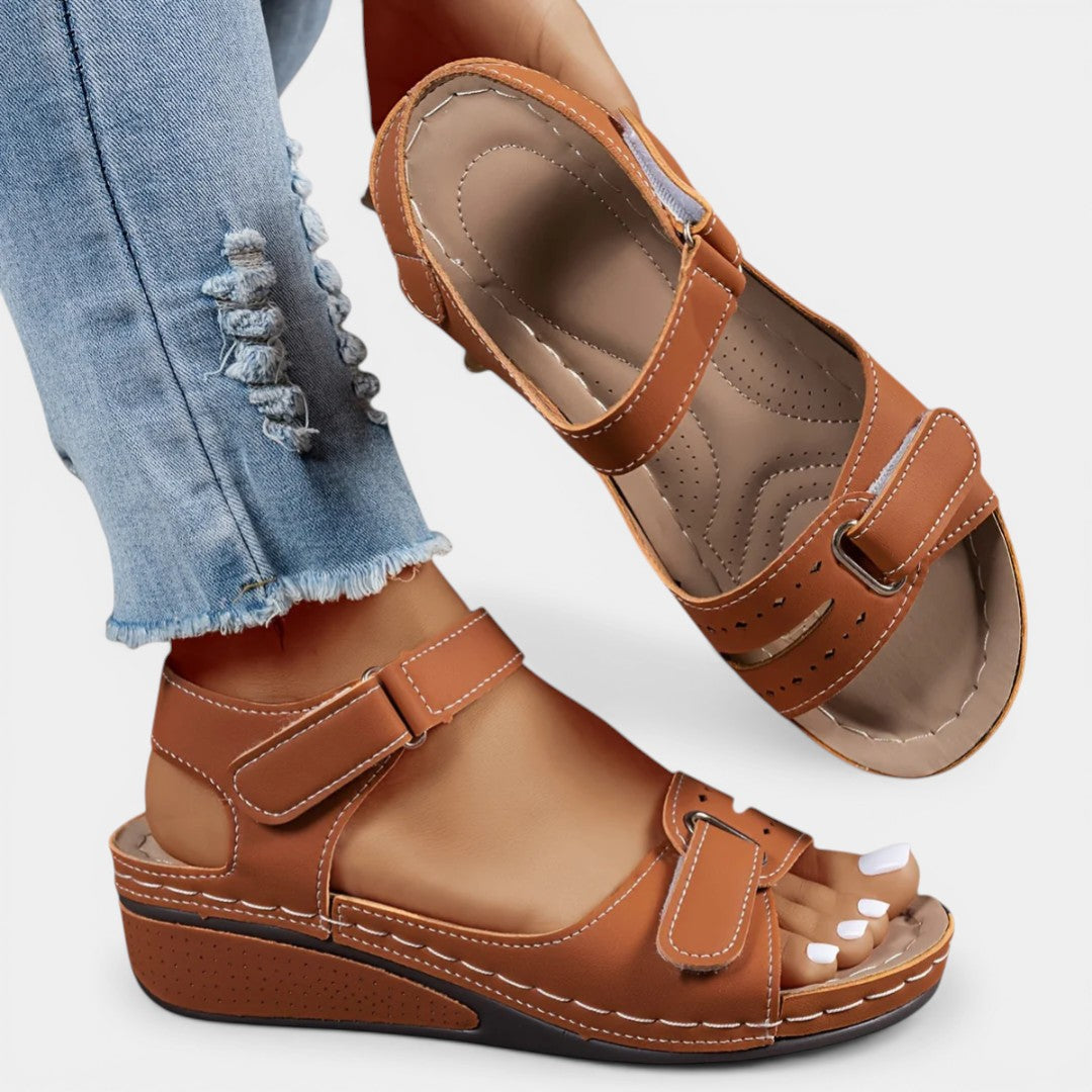 Brown / US 11